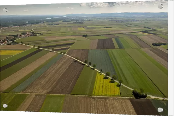 Aerial view, landscape with fields and road, Michelhausen, Lower Austria, Austria
