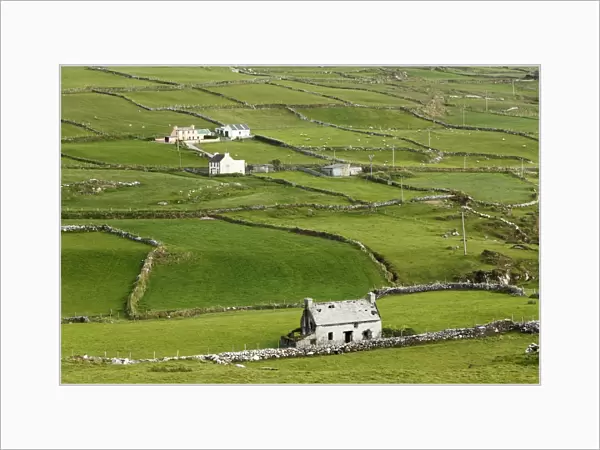 Meadows with walls, Ballaghboy, Beara Peninsula, Cork, Republic of Ireland, British Isles, Europe