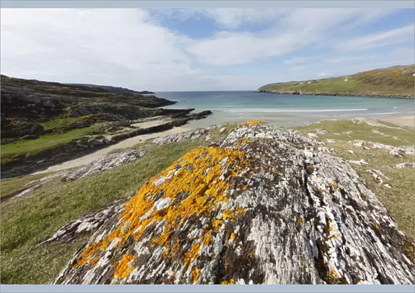 Rock with lichens, Barleycove, Mizen Head Peninsula, West Cork, Republic of Ireland, British Isles, Europe