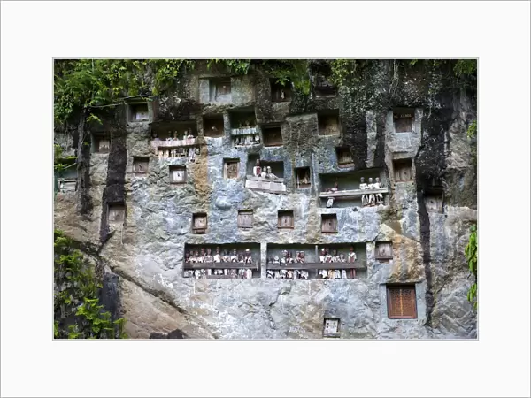 Rock tombs and gallery of ancestors of the Toraja in Lemo, near Rantepao, Sulawesi, Indonesia, Southeast Asia