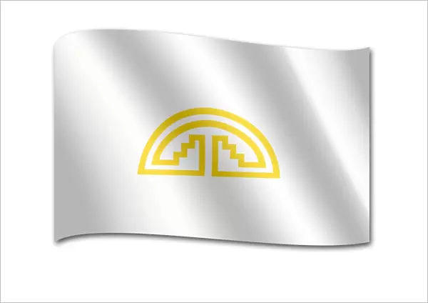 Flag of the Andean Community