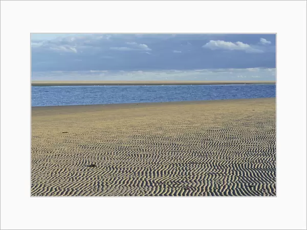 Ripple patterns in front of a tidal creek on the western beach of Spiekeroog, East Frisia, Lower Saxony, Germany