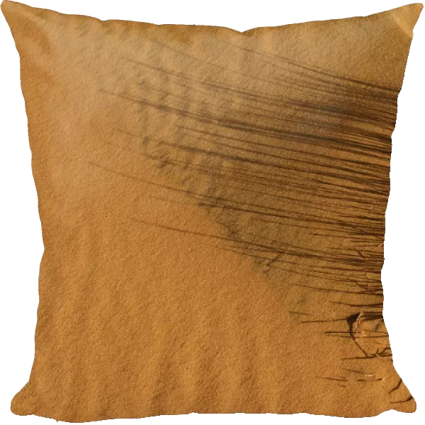 Sand ripples, texture on a sand dune, Tassili nAjjer, Sahara desert, Algeria