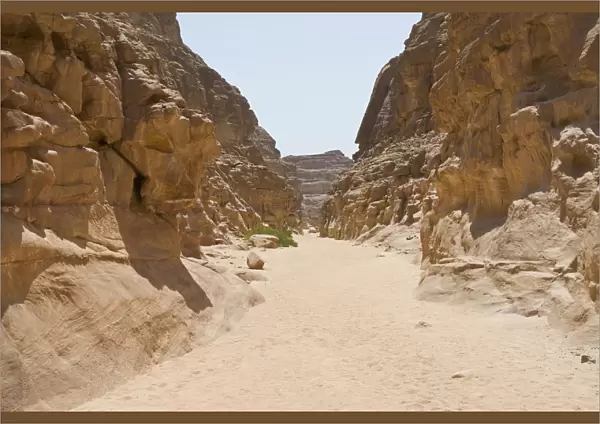 White Canyon near Dahab, Sinai, Egypt, Africa