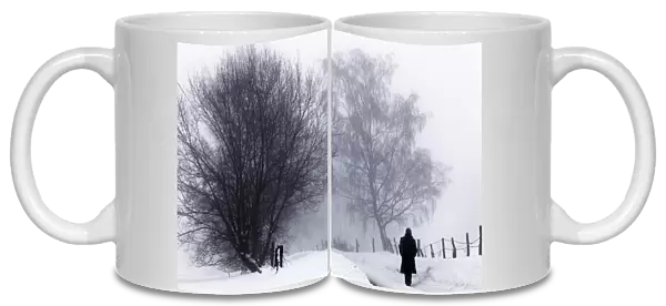 Lone walker, winter landscape with snow, tree in the fog, Gummersbach, North Rhine-Westphalia, Germany, Europe