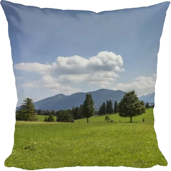 Cultivated landscape, Oberammergau Alps at the back, near Buching, Halblech, Allgau, Ostallgau, Bavaria, Germany