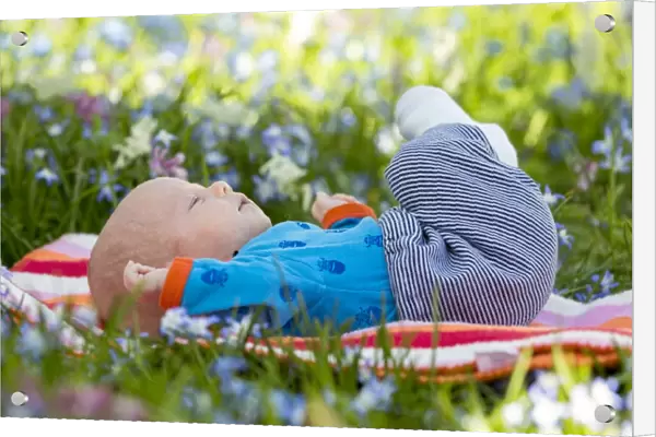 Baby, 2 months, lying on a meadow, Germany