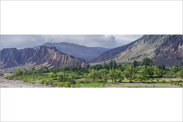 Panoramic, lush vegetation at the Purmamarca river, behind Cerro de los Siete Colores or Hill of Seven Colors in Purmamarca, Jujuy Province, Argentina