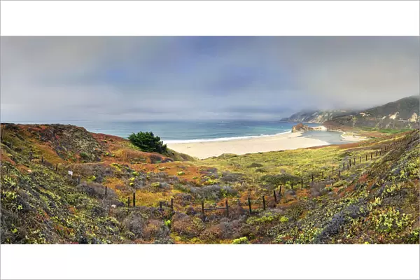 Sand beach on the California Pacific coast, near Point Sur, California, United States