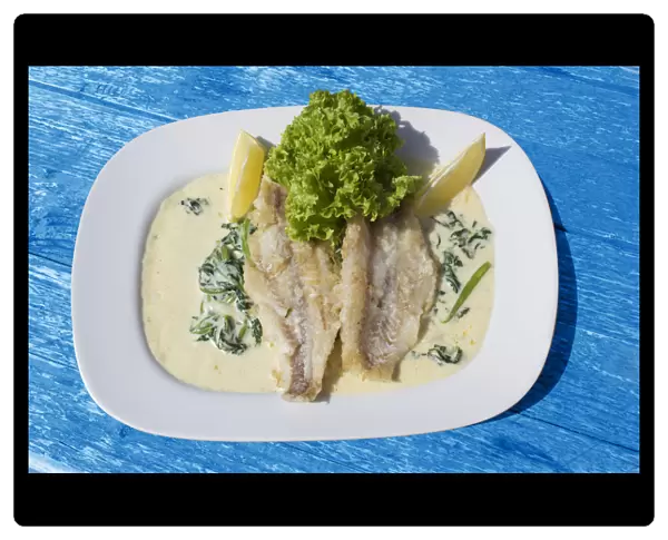 Pike-perch fillet on a bed of spinach with cream sauce