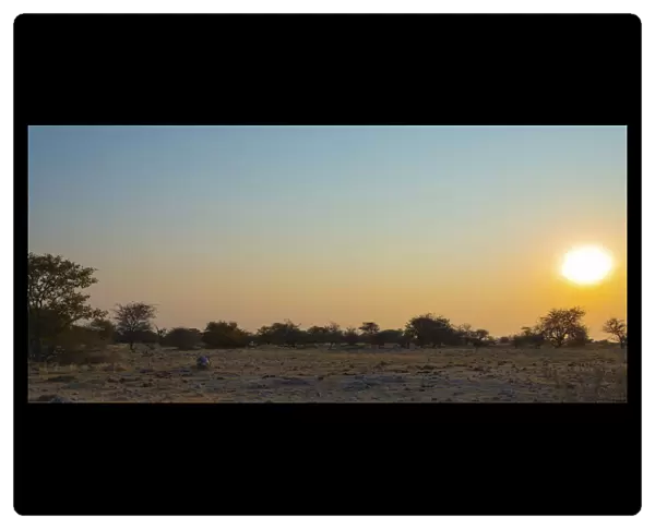 Sunset, Etosha National Park, Namibia