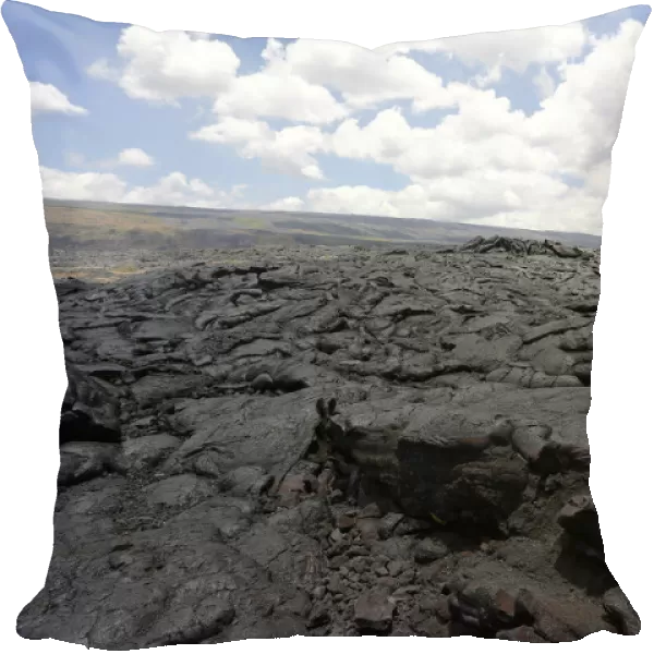 Sign road closed, lava field in the East Rift Zone, Kilauea volcano, Big Island, Hawaii, USA