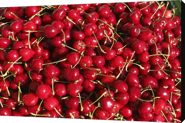 Cherries, Styria, Austria, Europe