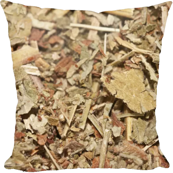 Agrimony tea, organic tea