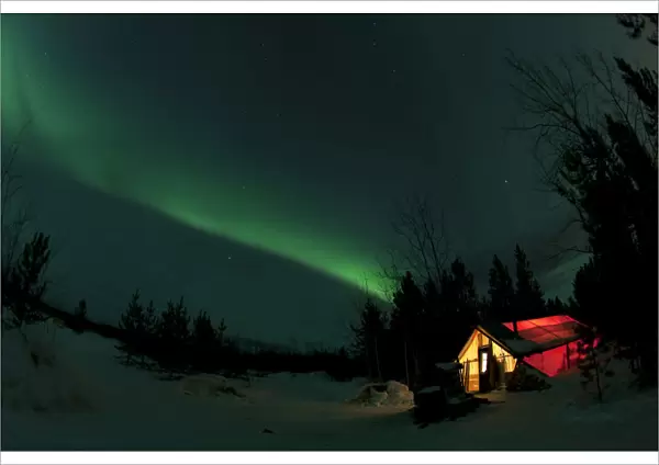 Illuminated, lit wall tent, cabin with swirling northern polar lights, Aurora Borealis, green, near Whitehorse, Yukon Territory, Canada