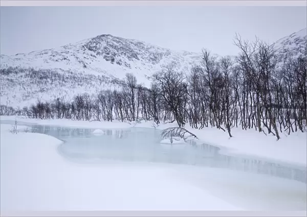 Creek on Kattfjord pass in winter, Kvaloya, Tromso, Norway, Europe