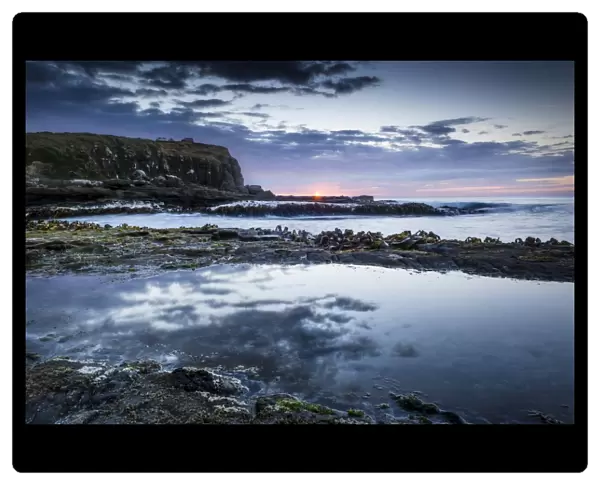 Evening mood at the sea, seaweed, rocky coast, Curio Bay, The Catlins, South Island, New Zealand