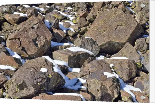 Fallen basalt rocks with remnants of snow, Highway 65, Grand Mesa National Forest, Colorado, USA