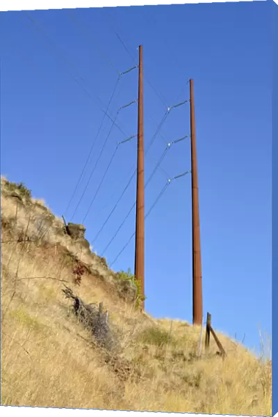 High-voltage redirection pylons at the Oxbow Reserve, Highway 71, Oregon, USA