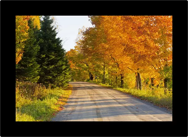 Country road in autumn, West Bolton, Quebec, Canada