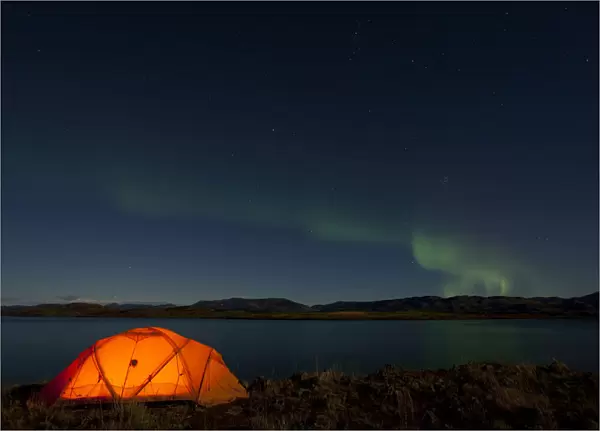 Illuminated expedition tent, Northern lights, Polar Aurorae, Aurora Borealis, green, reflections in water, Lake Laberge, near Whitehorse, Yukon Territory, Canada