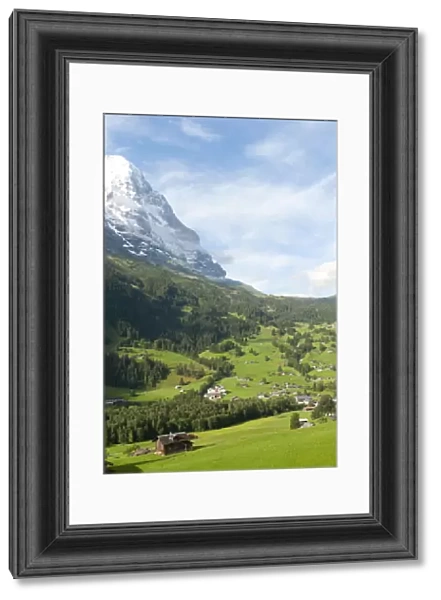 Snow-capped north face of Mt Eiger, green meadows, Grindelwald, Bernese Oberland, Canton of Bern, Alps, Switzerland, Europe