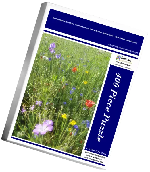 Summer meadow, Cornflower -Centaurea cyanus-, Yarrow -Achillea-, Mallow -Malva-, Yellow Daisies -Leucanthemum-, Poppy -Papaver rhoeas-