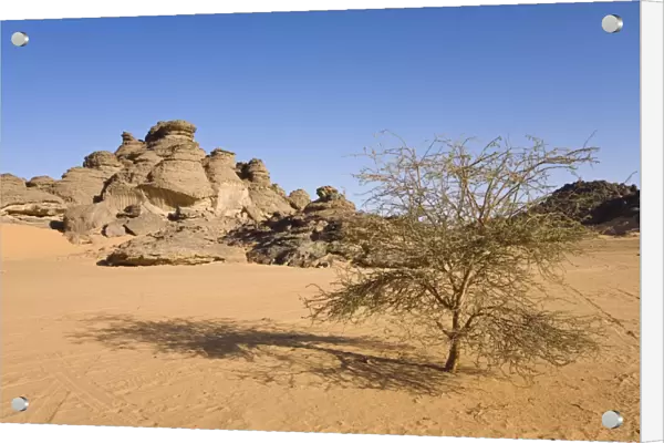 Rock formations in the Libyan Desert, Acacia, Akakus Mountains, Libya, North Africa, Africa