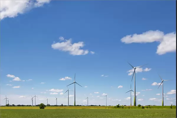 Wind turbines in a summer landscape, Brandenburg, Germany, Europe