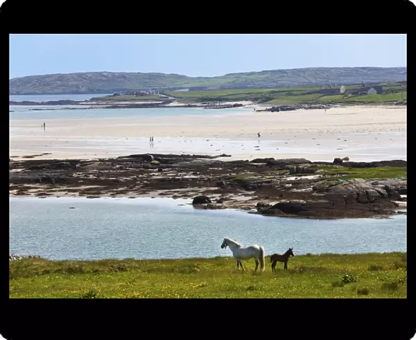 Coast at Claddaghduff with Omey Island, Connemara, County Galway, Republic of Ireland, Europe