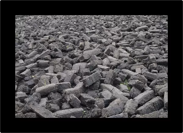Peat briquettes used for fuel in private homes are dried by the citizens themselves, Birr, Leinster, Republic of Ireland, Europe