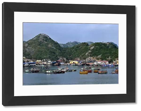 Harbour of Cat Ba, Halong Bay, Vietnam, Southeast Asia