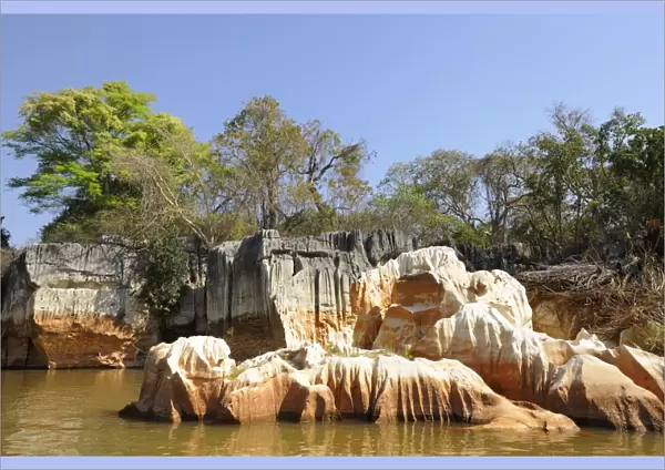 Limestone formation on the Manambolo River, Tsingy de Bemaraha National Park, Madagascar, Africa