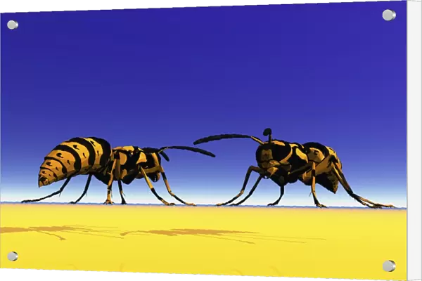 Two wasps, 3D graphics