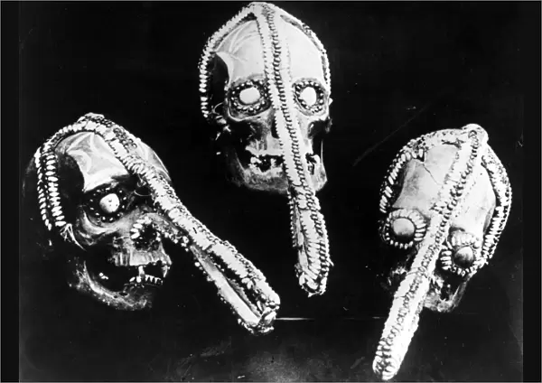 Big Noses. circa 1950: Decorated human skulls used by witch doctors in Ghana