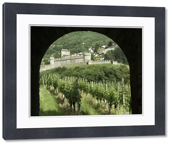 Castello di Montebello with vineyard in foreground