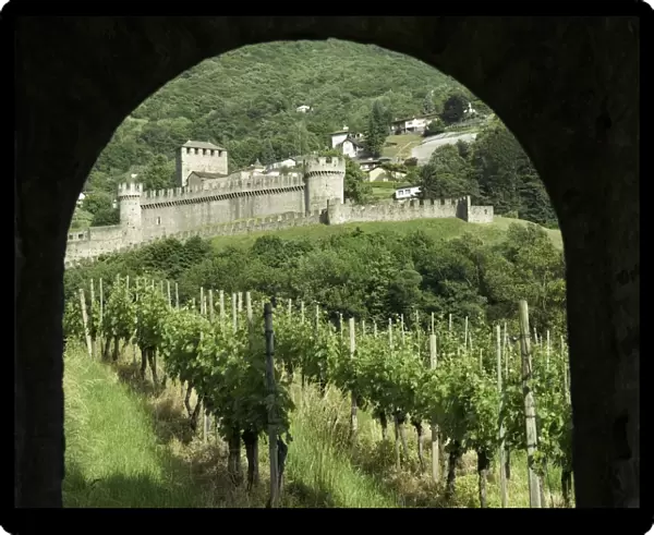 Castello di Montebello with vineyard in foreground