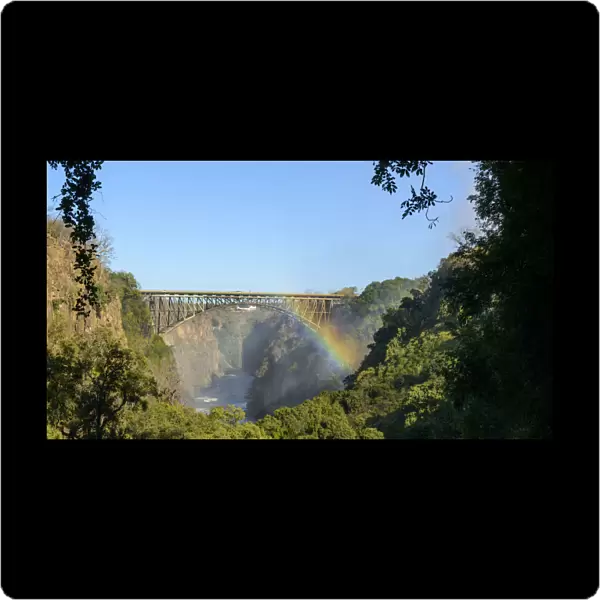 View of Bridge across the Zambezi River and Batoka Gorge from the path to The Boiling Pot. Victoria Falls. Livingstone. Zambia
