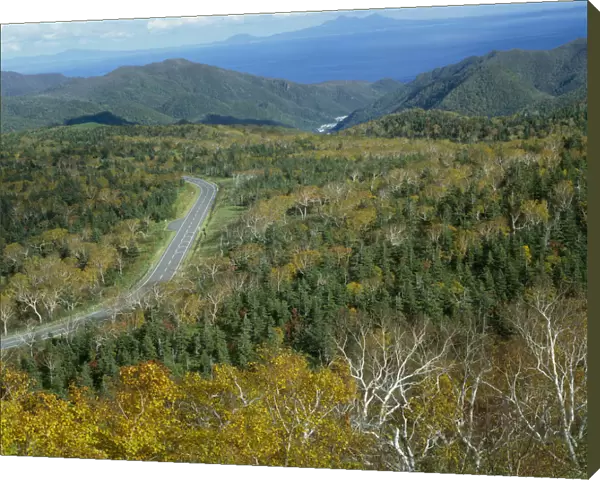 Road in Shiretoko National Park, Hokkaido, Japan