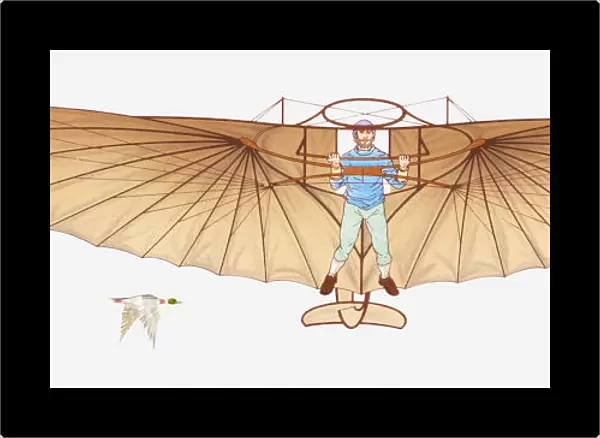 Illustration of a hang glider and a bird in mid-air