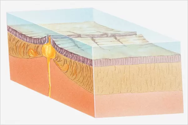 Illustration of oceanic crust