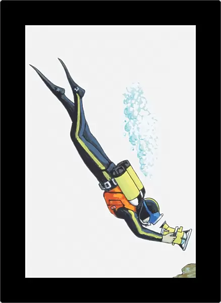 Illustration of diver with a camera