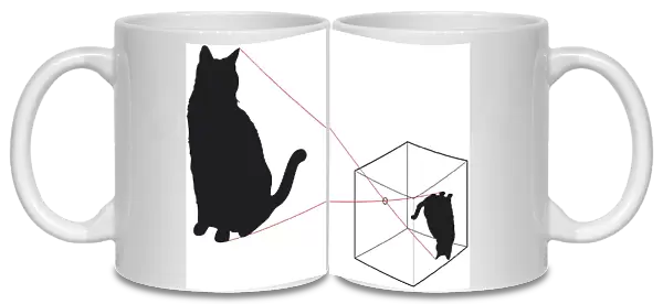 Digital illustration of black cat and how the image appears upside down in pinhole camera