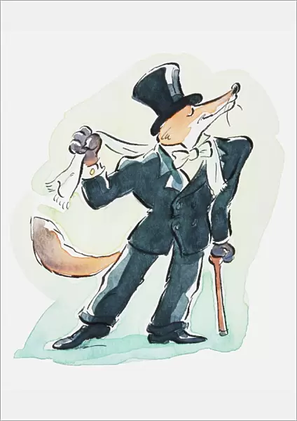 Illustration of a fox dressed in suit and top hat