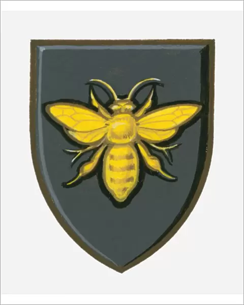 Illustration of heraldic symbol of bee on shield representing efficient industry