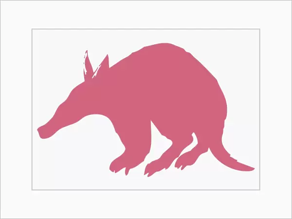 Digital illustration of pink silhouette of Aardvark