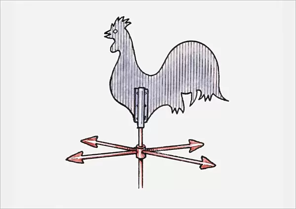Illustration of cockerel weather vane