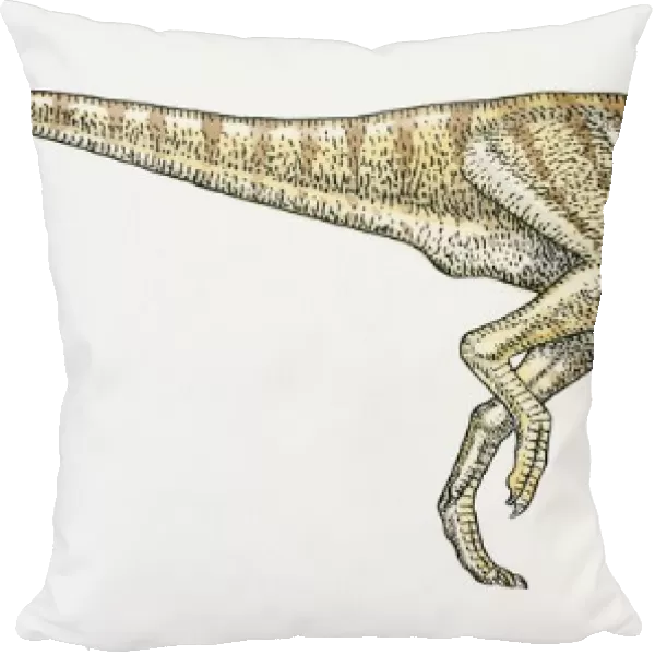 Illustration of Dryosaurus ornithopod dinosaur
