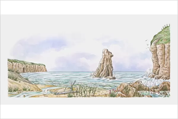 Coastline showing sand dunes, rock stack, saltmarsh flowers, tide pools and clifftop turf