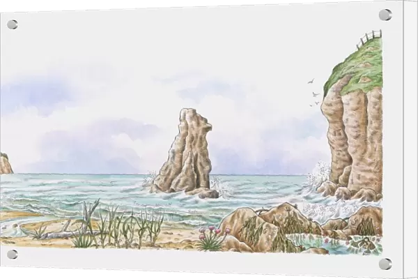 Coastline showing sand dunes, rock stack, saltmarsh flowers, tide pools and clifftop turf